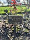 Large bronze plaque on a prong